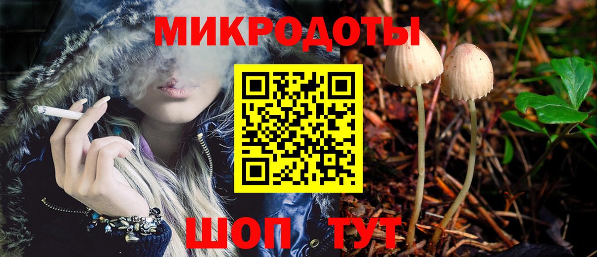 Галлюциногенные грибы Psilocybe  Псилоцибиновые грибы прущие грибы  Сальск  купить закладку  Вход с VPN 